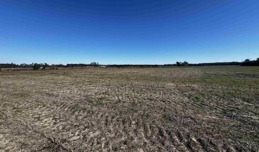 View of nature featuring a rural view