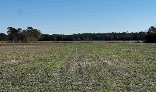 View of yard with a rural view