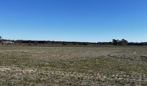 View of local wilderness featuring a rural view