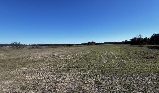 View of nature featuring a rural view