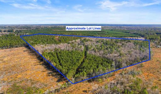 Photo #18 of 5.47 Acs Kates Bay Hwy., Conway, SC 5.5 acres