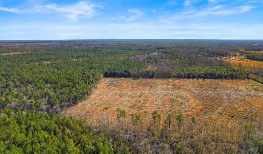 Photo #15 of 5.47 Acs Kates Bay Hwy., Conway, SC 5.5 acres