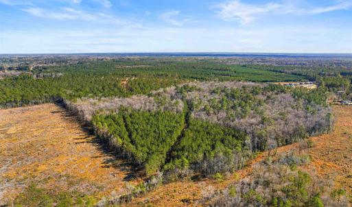 Photo #13 of 6.97 Acs Kates Bay Hwy., Conway, SC 7.0 acres