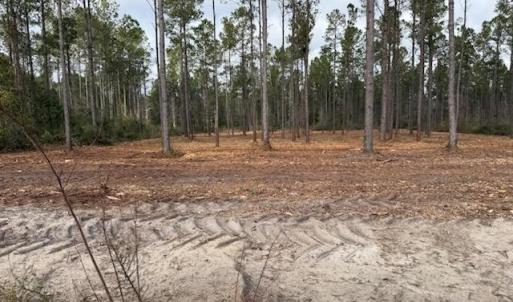 Photo #17 of 6.97 Acs Kates Bay Hwy., Conway, SC 7.0 acres