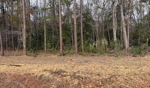 Photo #19 of 6.97 Acs Kates Bay Hwy., Conway, SC 7.0 acres