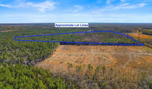 Photo #12 of 6.97 Acs Kates Bay Hwy., Conway, SC 7.0 acres