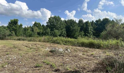 Photo #9 of 100 Lulu Ln., Bennettsville, SC 14.2 acres