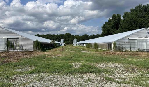 Photo #20 of 100 Lulu Ln., Bennettsville, SC 14.2 acres