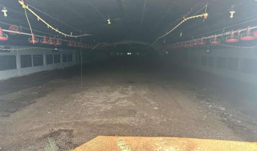 Photo #6 of 100 Lulu Ln., Bennettsville, SC 14.2 acres