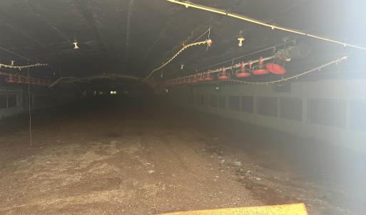 Photo #7 of 100 Lulu Ln., Bennettsville, SC 14.2 acres