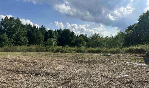Photo #1 of 100 Lulu Ln., Bennettsville, SC 14.2 acres