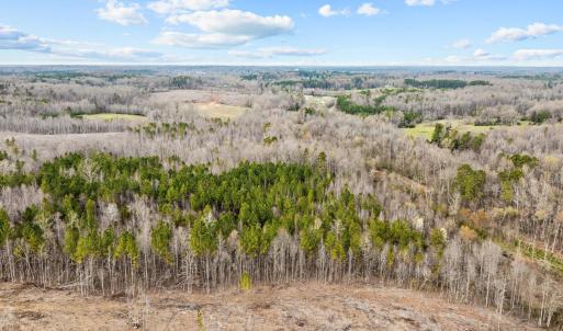 10-web-or-mls-DJI_0217