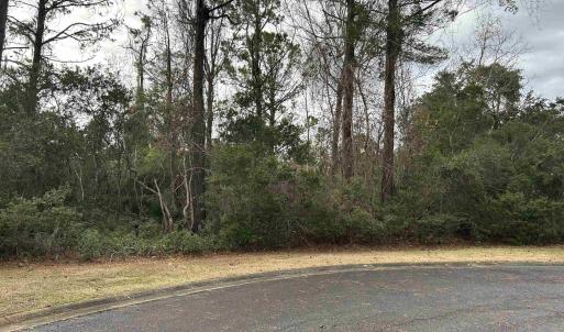 Photo #1 of Lot 4 Josie Way, Georgetown, SC 0.6 acres