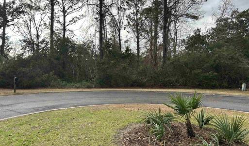 Photo #2 of Lot 4 Josie Way, Georgetown, SC 0.6 acres