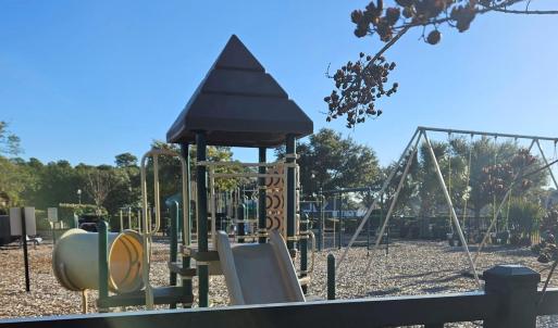 View of jungle gym