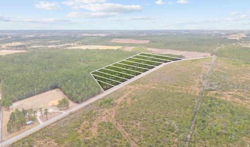 Photo #20 of TBD Joyner Swamp Rd., Galivants Ferry, SC 2.3 acres