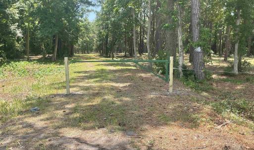 View of local wilderness