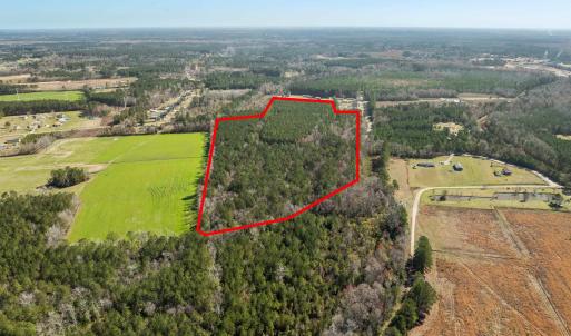 Photo #9 of TBD Daphane Dr., Loris, SC 30.1 acres