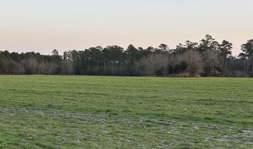 View of nature at dusk