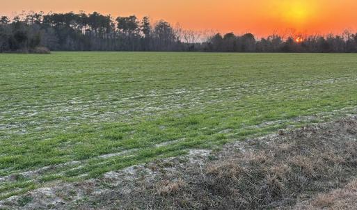 Nature at dusk featuring a rural view