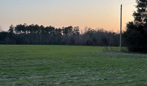 View of yard at dusk