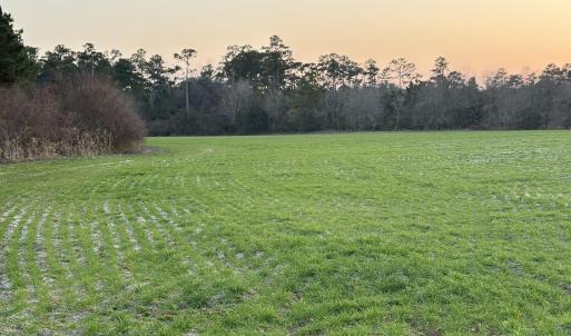 Yard at dusk featuring a rural view
