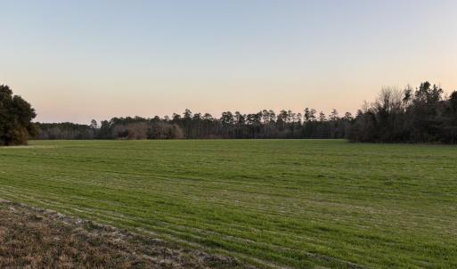 Nature at dusk with a rural view