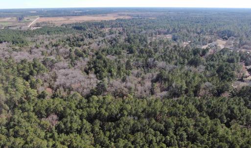 Bird's eye view featuring a forest view