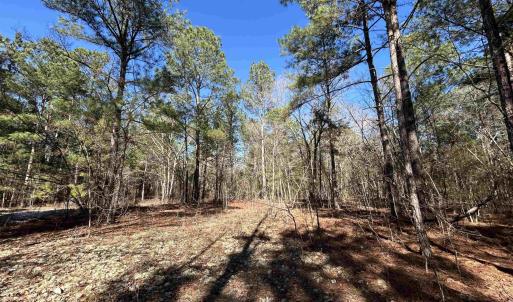 View of local wilderness featuring a wooded view