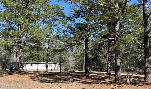 View of yard with a view of trees