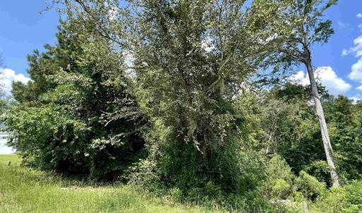 Photo #2 of 286 Rivers Edge Dr., Conway, SC 0.3 acres