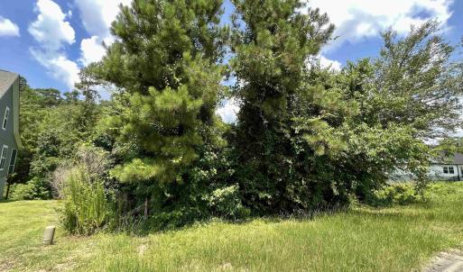 Photo #1 of 286 Rivers Edge Dr., Conway, SC 0.3 acres