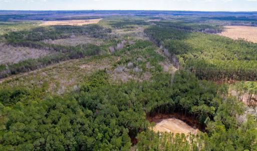 Aerial view with a view of trees