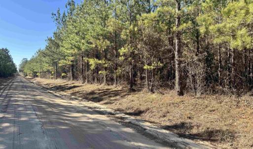 View of road featuring a view of trees