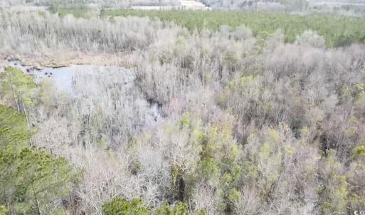 Drone / aerial view featuring a forest view and a