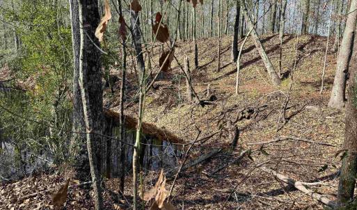 View of landscape featuring a view of trees