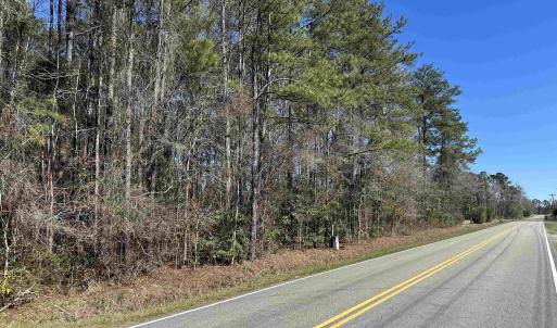 View of road featuring a wooded view