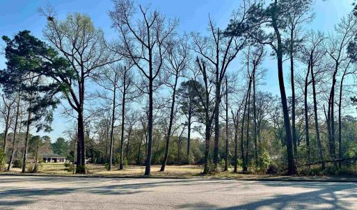 Photo #3 of TBD N Main St., Nichols, SC 1.3 acres