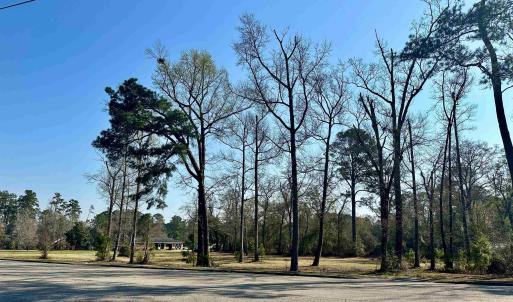 Photo #4 of TBD N Main St., Nichols, SC 1.3 acres