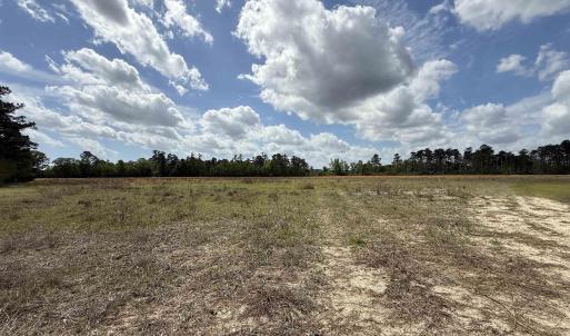 Photo #1 of Lot 7 Apple Valley Rd., Loris, SC 11.1 acres