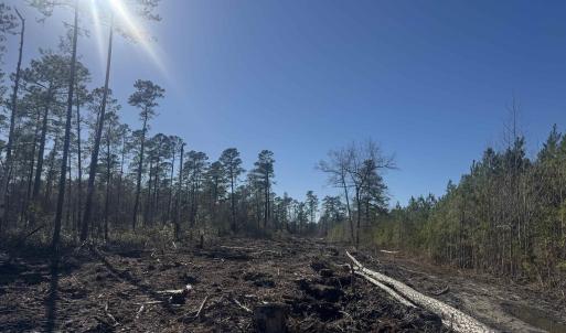Photo #7 of 8862 Ware Dr., Nichols, SC 23.2 acres