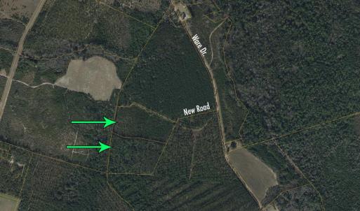 Photo #1 of 8862 Ware Dr., Nichols, SC 23.2 acres