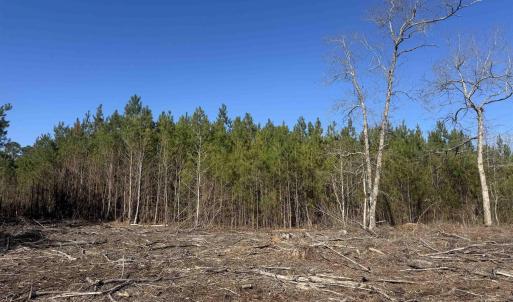 Photo #3 of 8862 Ware Dr., Nichols, SC 23.2 acres
