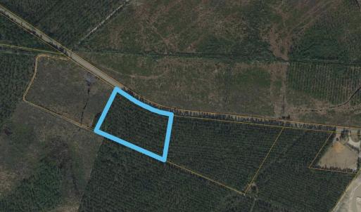 Photo #3 of TBD Joyner Swamp Rd., Galivants Ferry, SC 10.0 acres