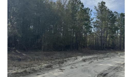Photo #5 of TBD Thompson Rd., Nichols, SC 3.0 acres