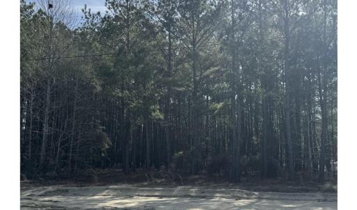 Photo #2 of TBD Thompson Rd., Nichols, SC 3.0 acres