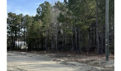 Photo #1 of TBD Thompson Rd., Nichols, SC 3.0 acres