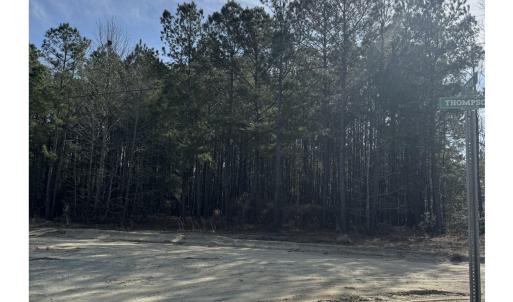 Photo #4 of TBD Thompson Rd., Nichols, SC 3.0 acres