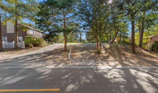 View of yard with concrete driveway