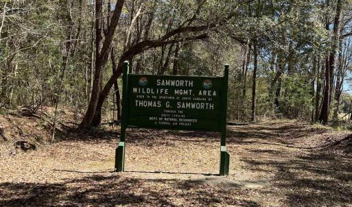 Photo #14 of Lot 9 Samworth Loop, Georgetown, SC 5.0 acres